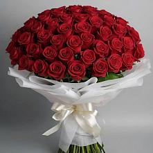 Букет 101 Красная роза Блэк Мэджик в Красино