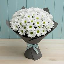 Букет цветов из:  Хризантемы #REPLACE_PRED# Красино