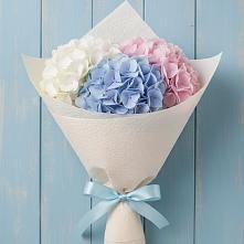 Букет цветов из:  Гортензия в Красино