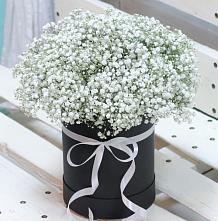 Цветочная композиция из Гипсофила в шляпной коробке #REPLACE_PRED# Красино