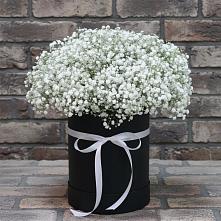 Цветочная композиция из Гипсофила в шляпной коробке #REPLACE_PRED# Красино