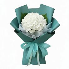 Букет цветов из:  Гортензия в Красино